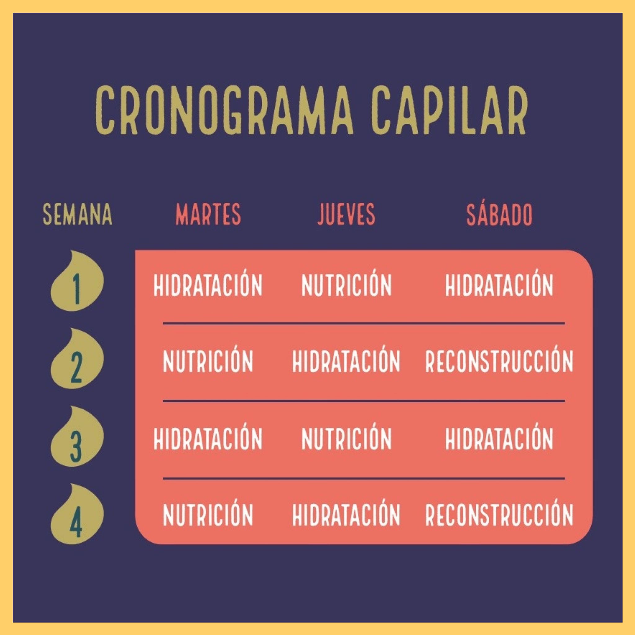 Cronograma Capilar - Imagen 2
