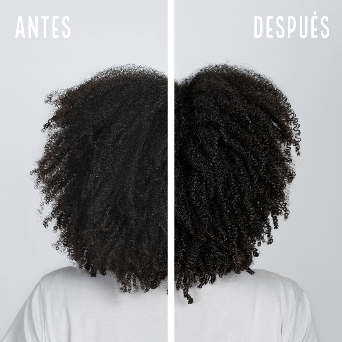 Shampoo Reparación - Imagen 2